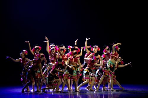紅河州2024年第三屆群眾文化白鷴獎文藝匯演圓滿落幕，展現民族文化藝術新風采